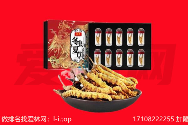 庆阳镇原县回收虫草.jpg